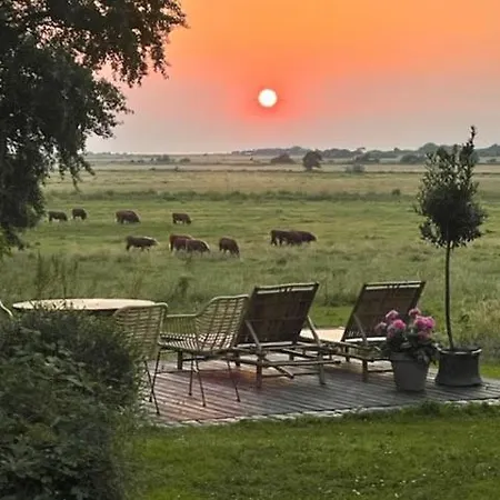 All-year Oasis With Sea Field And Nature Views Feriehus Ebberup